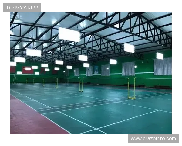 乐鱼体育未来发展趋势：体育娱乐行业的创新与数字化转型分析